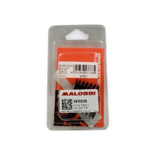 Malossi kytkinjouset, Minarelli AM6