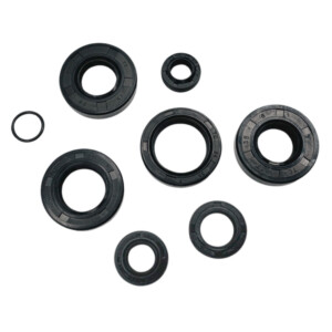 Täydellinen stefasarja, Minarelli AM6