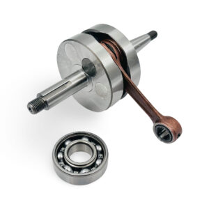 Doppler ER1 kampiakseli, Minarelli AM6